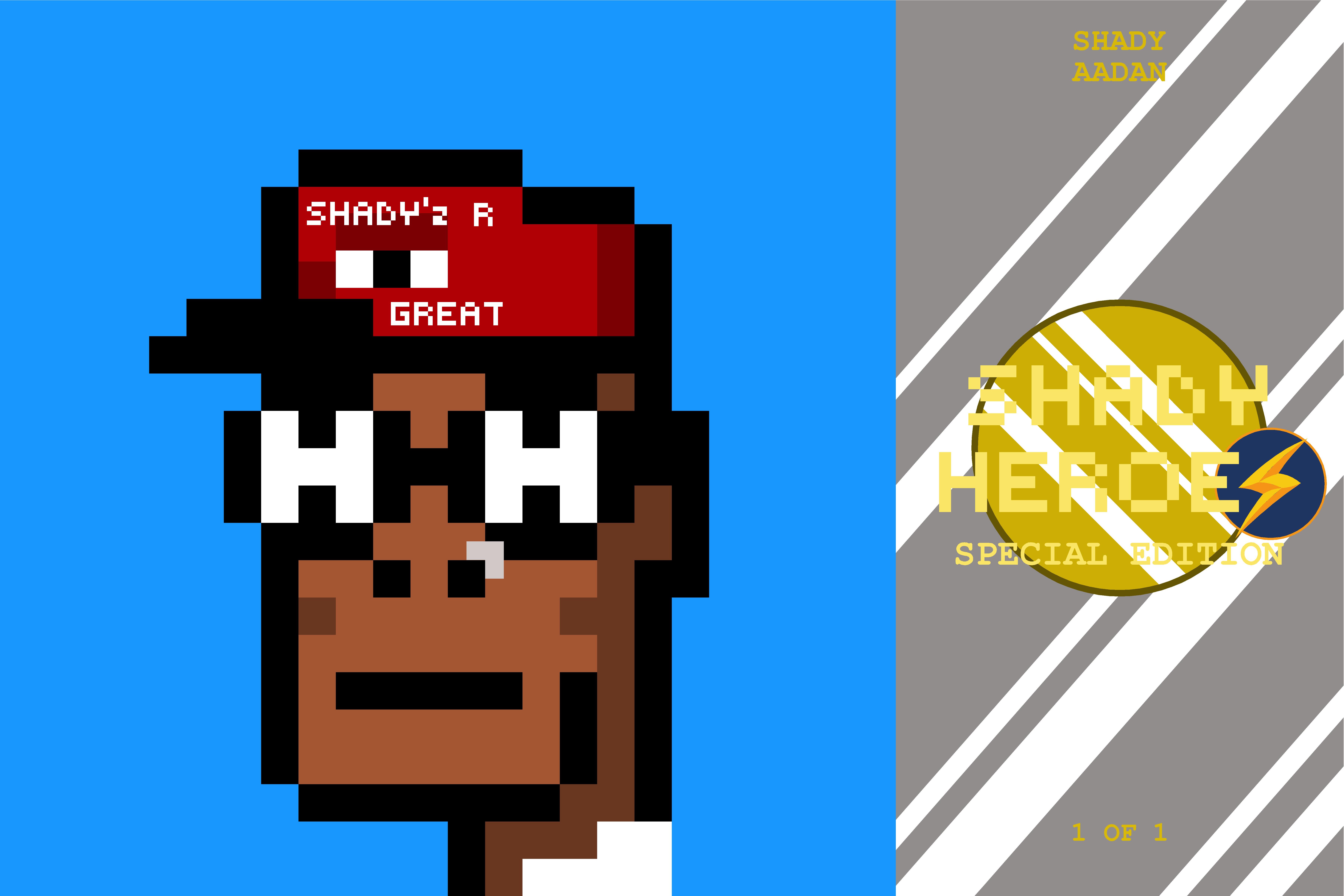 These pieces were made for the Shadyz collab